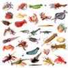 Realistische Prähistorische Meereskreaturen Tierfiguren Baculit, Opabinia, Krabbe, Fangschreckenkrebs Lernfähige Meeres-Tier-Modellfiguren