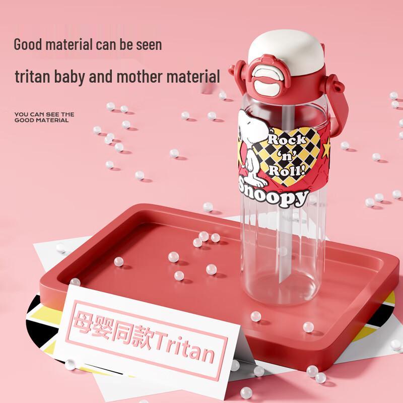 Snoopy Portable Dual-Drink Straw Water Bottle