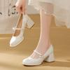 Neue chinesische Satin Mary Jane Damenschuhe 2025 neu Frühling und Sommer Stickerei mit Rock mittlerer Absatz Französisch leichte Mund Einzelne Schuhe