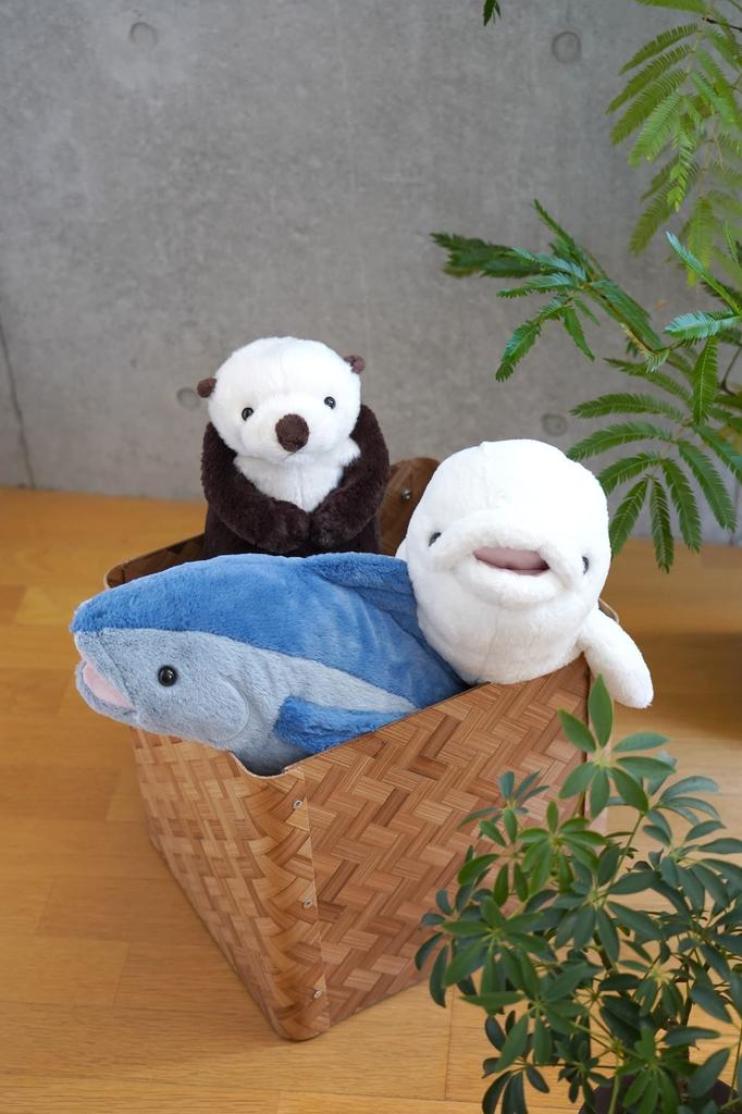 Sun Lemon Knee Tuna Medium 18 x 57 x 30cm Plush Animal Cute Tuna Sea Creature P-8552