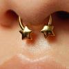 Inel Septum Piercing Nas Inel Inel Ureche Potcoavă Cartilaj din Oțel Inoxidabil Stea Inimă Pentru Femei Bărbați Bijuterii Corporale Accesorii Punk
