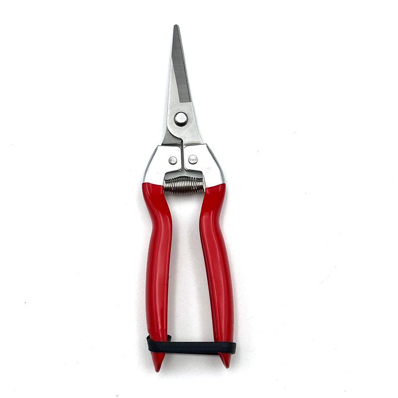 Stainless Steel Gardening Shears for Fruit Picking and Flower Pruning