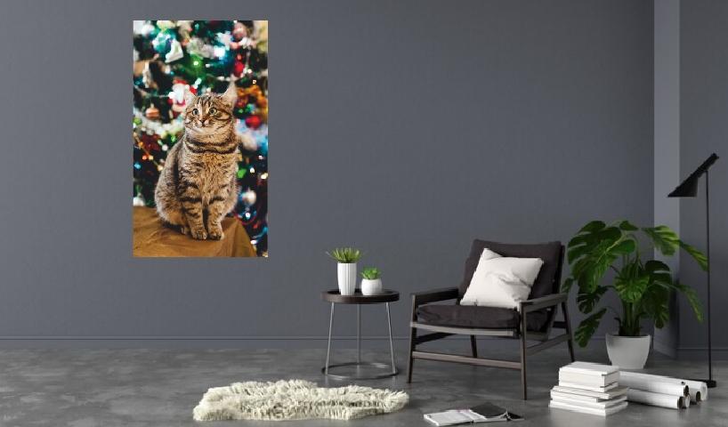 Heizbild "Weihnachtskatze" auf Monocrystal-Folie 105x60 cm 300 W