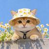 Pet Sun Hat Cats Small Dogs UV Protection Breathable Outdoor Cap With Ear Holes