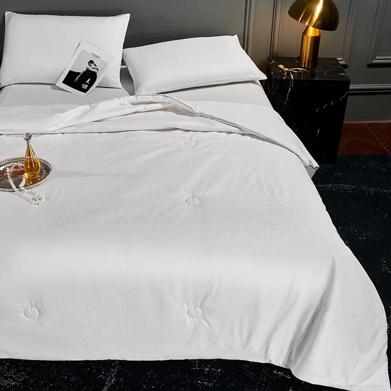 

Jieliya Yasong Tussah Silk Blend All-Season Quilt