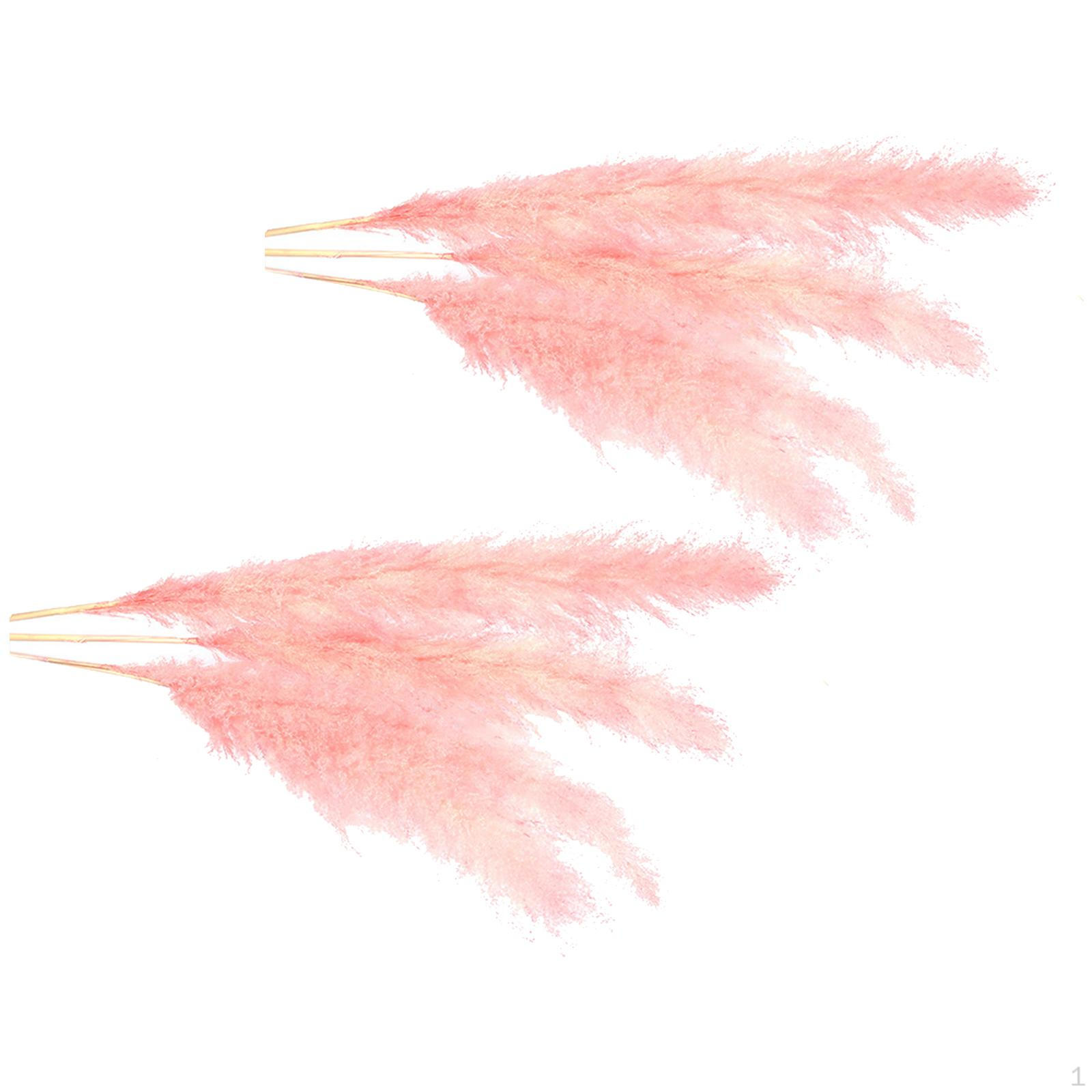 

6Pcs Boho Dried Pampas Grass Wedding Party Living Vase Table Decor Length 110cm