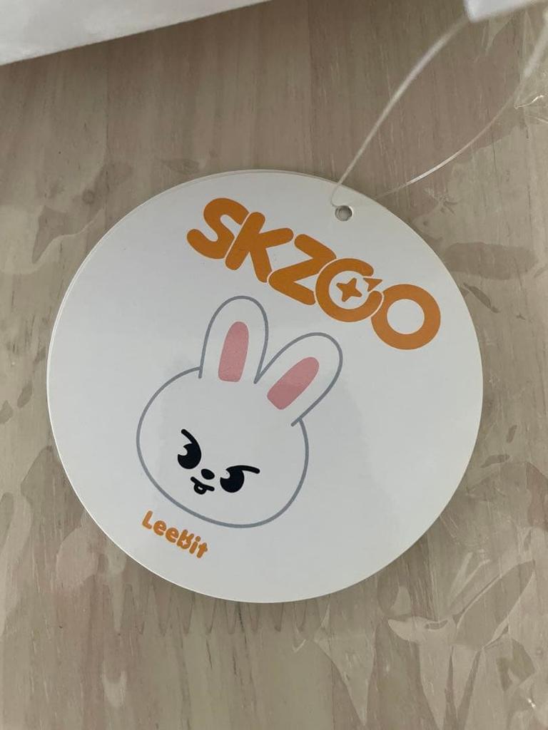 [USED] [] SKZOO PLUSH CUSHION Leebit Cushion