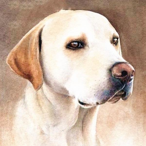 Diamond Painting Full Round Dog 5D DIY Diamond Embroidery Mosaic Animals Rhinestone Pictures Handmade Gift Home Decor