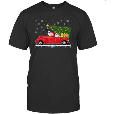 Koszulki i topy – T-shirty i koszulki