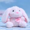 Delightful Cartoon Rabbit Pendant Cute Plush Keychain Soft Colorful Bunny Doll Accessory