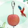 Stainless Steel Parrot Fruit Vegetable Holder Foraging Toy Bird Treat Skewer Bird Holder Bird Feeders Top Sale