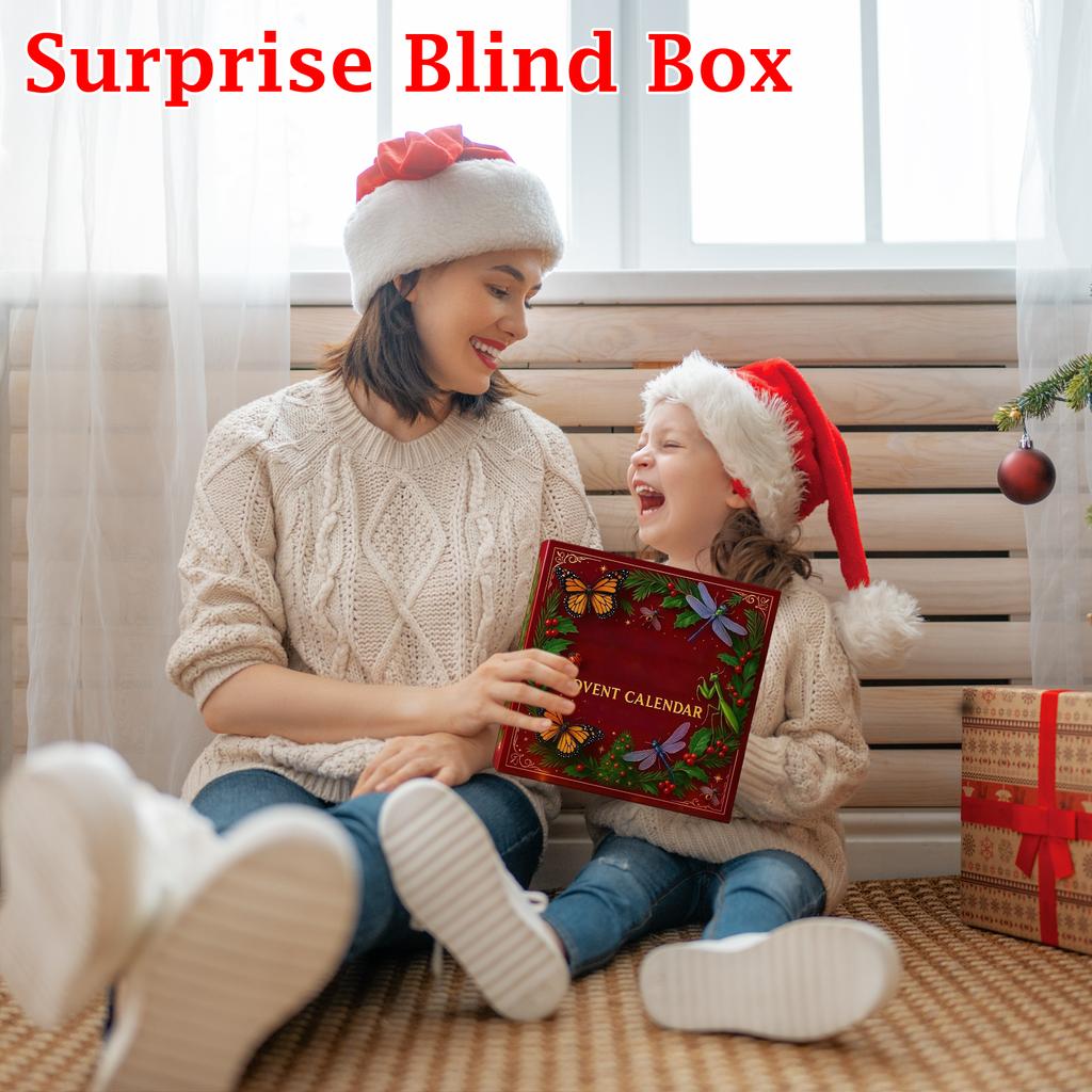 2D Plane+airplane Box +24PC+ Fitness Decoration Advent Christmas Countdown Box Calendar