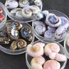 High-Temperature Ceramic Snail & Marine Animal Beads for DIY Jewelry & Clothing Accessories