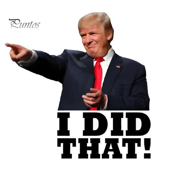 

Трамп Я сделал это Наклейки Смешные Тарифы Водонепроницаемые Наклейки Бензоколонки Ноутбуки Windows Политический Юмор Украшения 50pcs