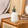 Convenient Vase Aesthetic Polyethylene Shatterproof