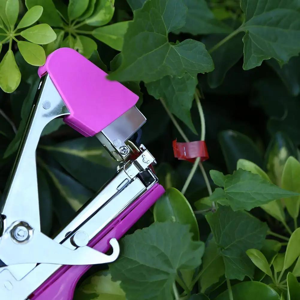 20/12/6PCS Plant Branch Tie Tape Hand Tying Binding Tools with1Box Staple For Garden Tying Machine Vegetable Fruit Tree Tapenter