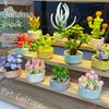 Topfkultur Blume Baustein Ziegel DIY Pflanze Spielzeug Weihnachtsgeschenk für Mädchen Erwachsene Kind Simulation süße Desktop-Dekorationen