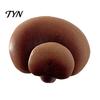Resin Memo Holder 3D Mushroom Refrigerator Magnet, Fake Decorative Hand Painted Magnets Photo Notes for Whiteboard Cabinet Kitchen