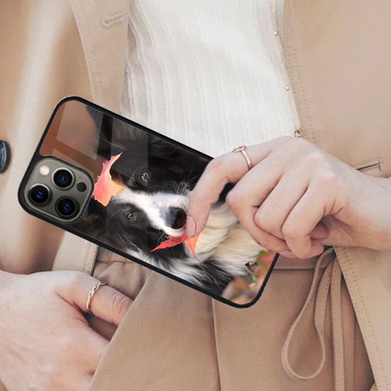 

Border Collier Autumn Magnetic Phone Case For APPLE iPhone 17 Air 16 14 13 12 Pro Max 15 Plus Wireless Charge With MagSafe Cover iPhone 14