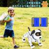 Robot Musical Voice Electronic Interactive Dog Soothing Birthday Gift for Boys and Christmas Gift for Kids and the Family Dog, Playing, Programmable,