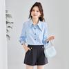 TERRE BLEUE Women's Elegant Long Sleeve Commuter Blouse