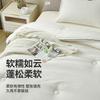 FAMCX GJILY Soybean Fiber Filling Comforter Queen Size Warm Comfortable Duvet Quilted Thin Blanket Double Bed Bedding 180x220