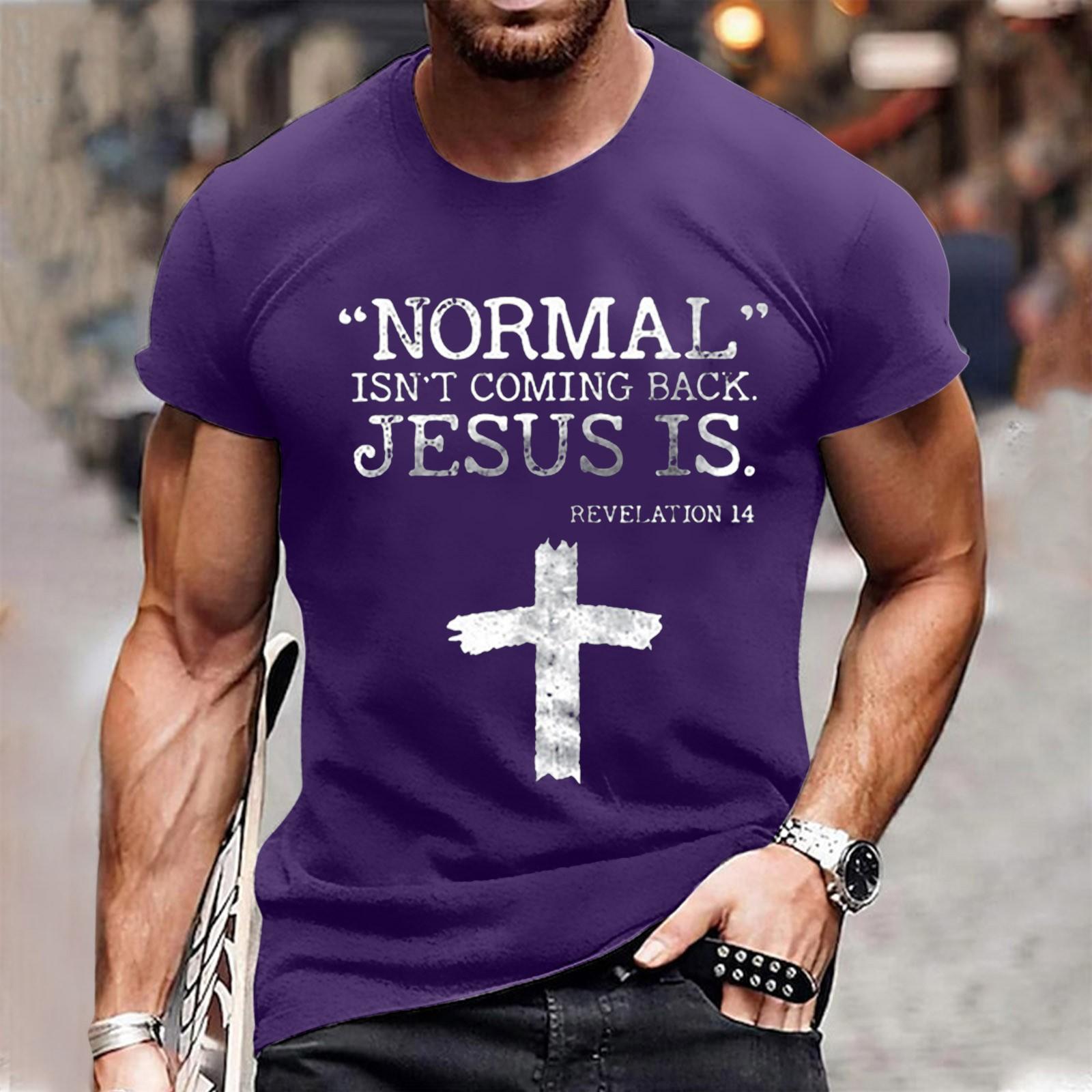 

Літня футболка-пуловер з короткими рукавами та круглим вирізом L фіолетовий