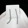 Exaggerated Diamond Tassel Earrings: Geometric Long Design with Silver Needle for Women