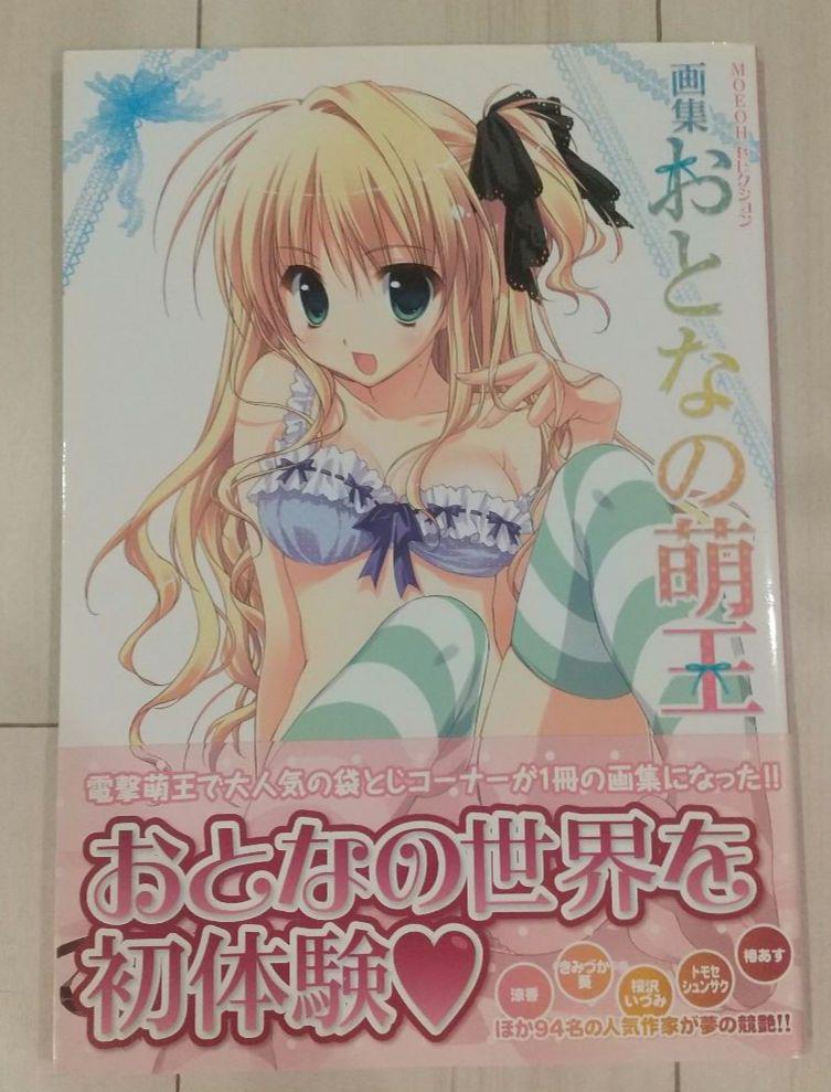 [USED] Art Book: Adult Moe King, More Adult Moe King, 2-Book Set