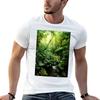 Rainforest In Warm Glow T-Shirt Man Tshirt Funny T Shirts Dark Humor T Shirt Man Designer T-shi