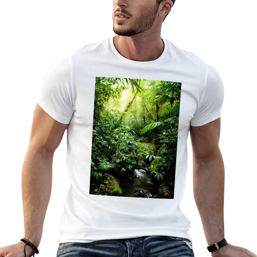 Rainforest In Warm Glow T-Shirt Man Tshirt Funny T Shirts Dark Humor T Shirt Man Designer T-shi
