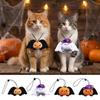 Skin-Friendly Halloween Pumpkin Bat Plush Collar Halloween Photo Neck Collar  Pet Carnival