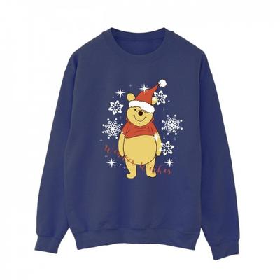 Dámská/Dámská mikina Winnie The Pooh Winter Wishes