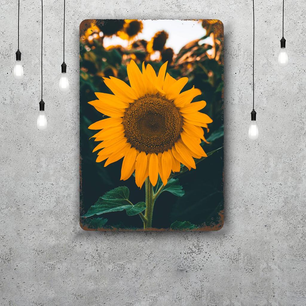 Sunflower Vintage Tin Sign Home Decor Wall Decor Art Wall Mural Room Decoration Decor Retro Metal Sign Plate Bar Posters
