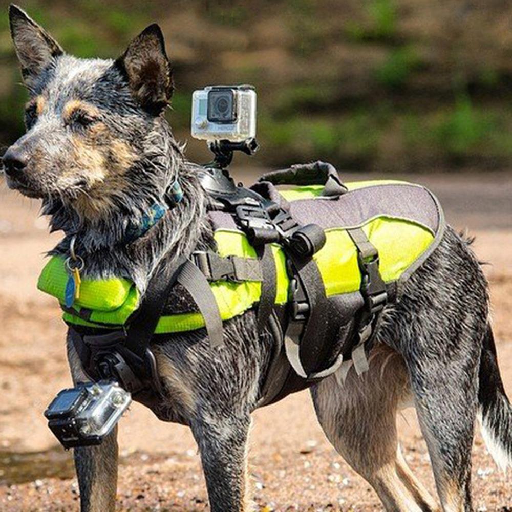 Postroj pro psa pro GoPro Hero 13 12 11 10 9 Měkký nastavitelný pro malé střední a velké psy pro kameru DJI Osmo Insta360