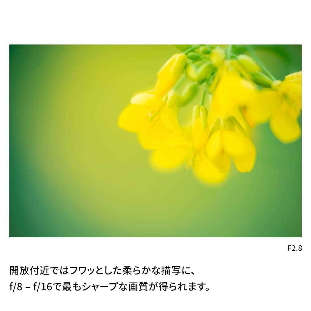 NiSi Lens NC Kit 58mm Close-up