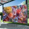 2D Flat Colorful Peony Flower Party Photo Background