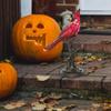 Křišťálová stolní lampa Cardinal Red Bird vitráž Noční světlo Halloween Dekorační lampy do ložnice Dekor do obývacího pokoje