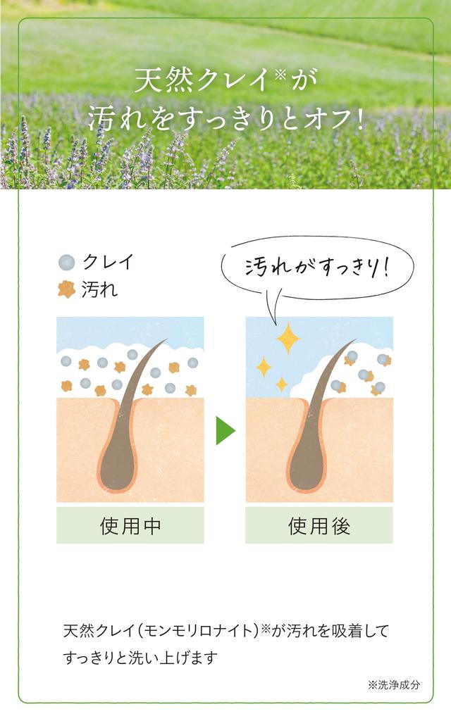 Natural Island Japanese Mint Refreshing Refreshing with an Invigorating Treats Stickiness and Made In Japan Shampoo, 400ml, Scent, Odor,