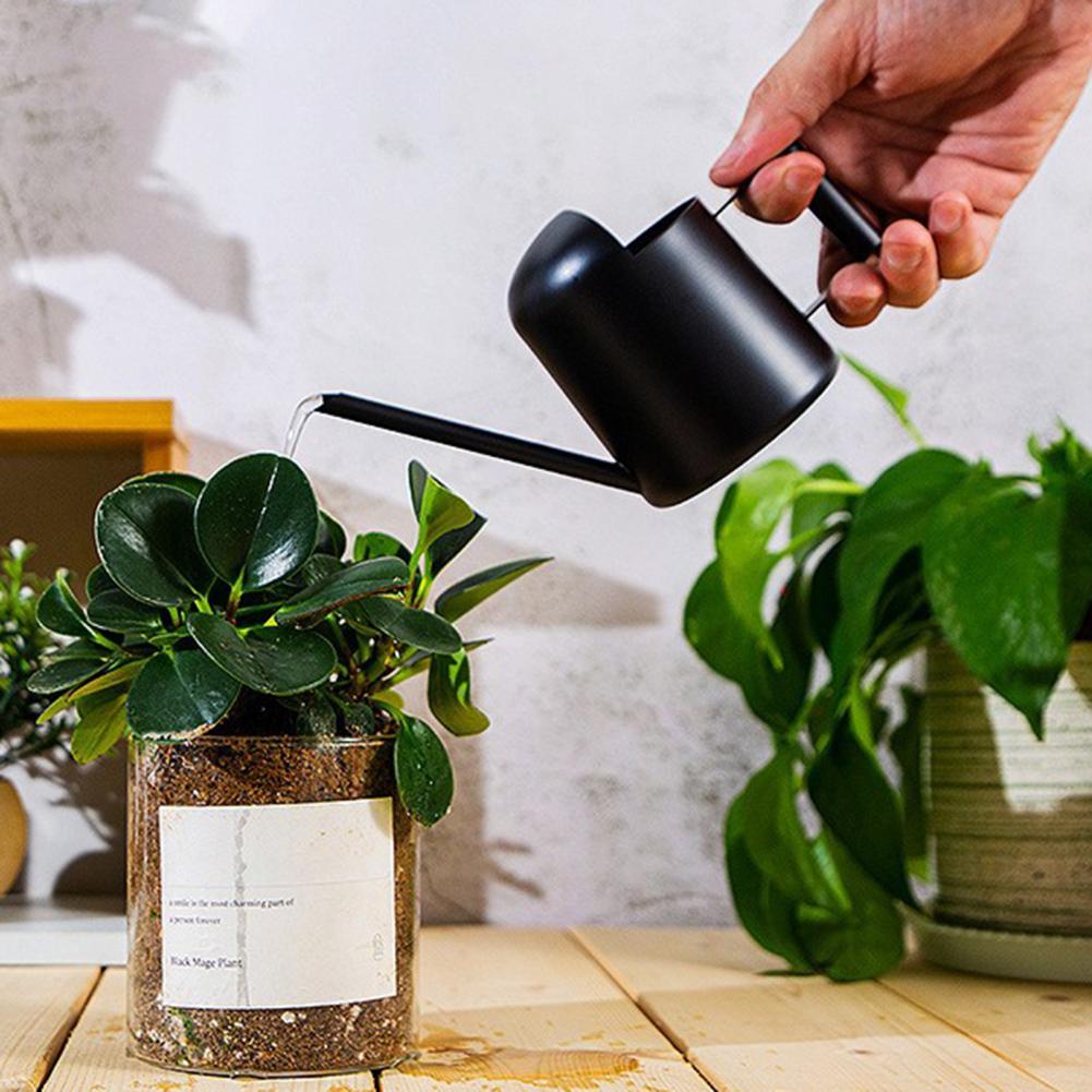Small Watering Pot Stainless Steel Watering Stainless Steel Mini Watering Long Spout Sprinkling Pot for Indoor/outdoor Plants