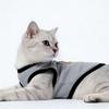 Seasonal Cute Bear Vest for Small Dogs & Cats - Anti-Shedding Bichon Frise & Silver Gradient Shorthair Kitten Clothing