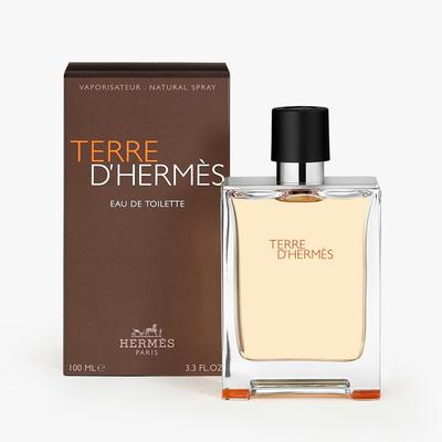 Terre d'Hermès Eau De Toilette 100 Ml