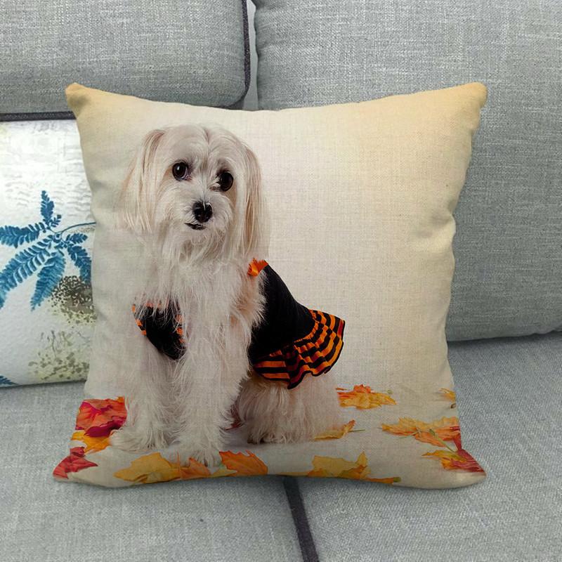 Autumn Animals: Dogs, Squirrels, Wolves, Raccoons Digital Printing Short Plush Pillow Covers For Car Sofa Office Cushion Cover