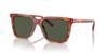 Coach Sunglasses HC8385U CL910 CARAMEL TORTOISE 54