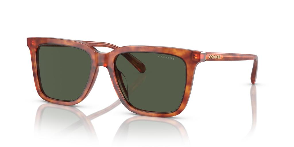 Coach Sunglasses HC8385U CL910 CARAMEL TORTOISE 54