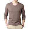 Spring New Cotton Sweetheart V-neck Long-sleeved T-shirt Men's Fashion Korean Style Casual Loose Men's Bottoming Shirt