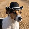 Breathable Pet Dog Sun Hat Handmade Stitched Dog Visor Cat Funny Cat Sunscreen Hat  Travel Use