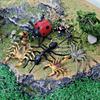 Realistic Insect Spider Scorpion Ant Animal Models For Kids Educational Play Pvc Decor Educational Gift