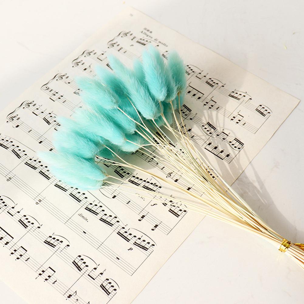 30 ks Barevné Králičí Ocasy Sušené Květiny Literární Styl Květinová Aranžmá Přírodní Kytice Králičích Ocasů Pro Večírek Domácí Dekoraci