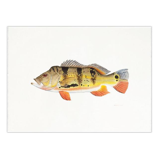 Decorative Painting Retro Fish Restaurant Hotel Paintings Animal Print Wall Pictures for Living Room Flatfish Wall Art Canvas